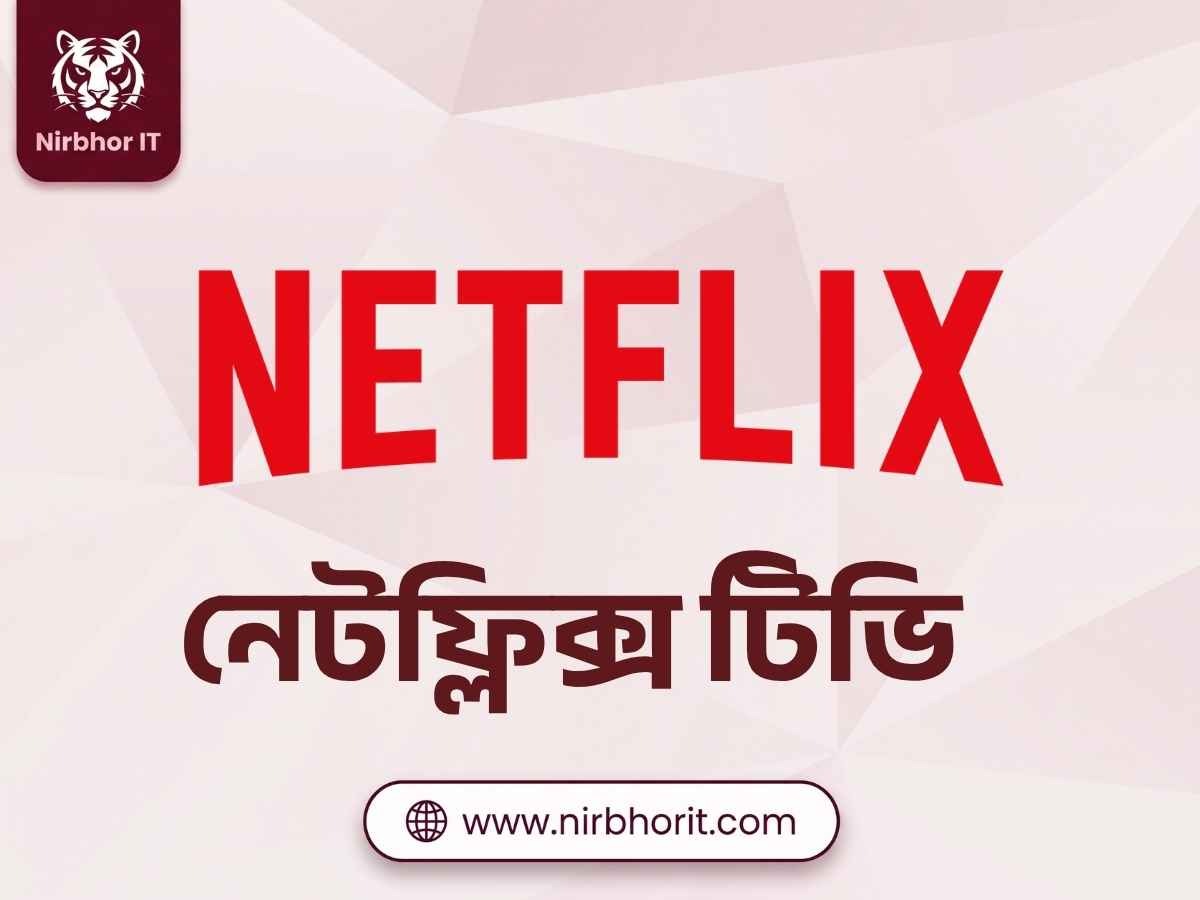 Netflix VIP TV Plan Subscription