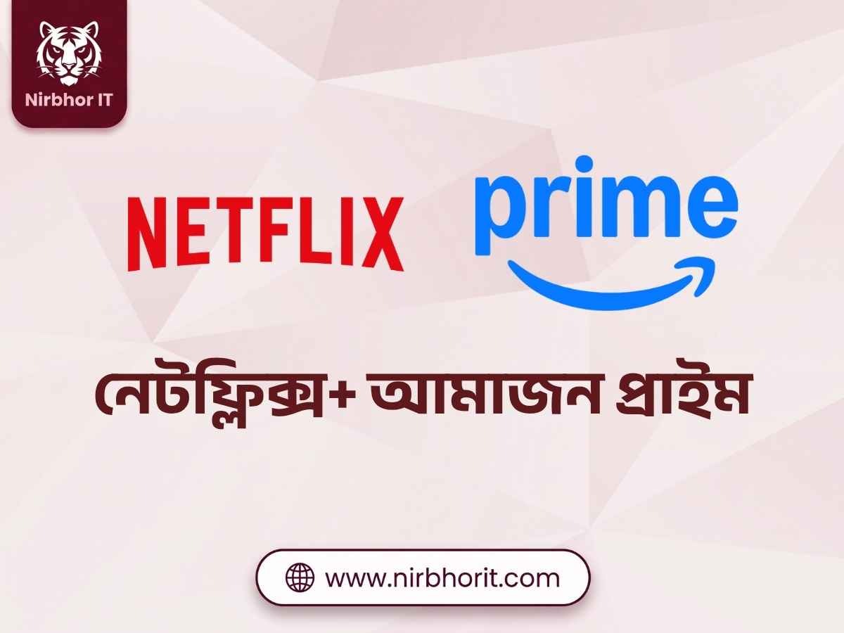 Netflix + Amazon Prime Video Combo